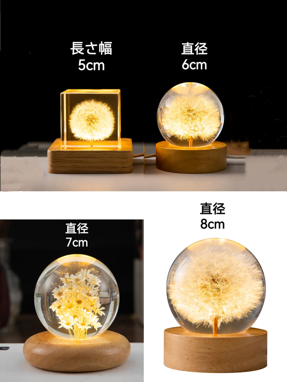  第11張的照片