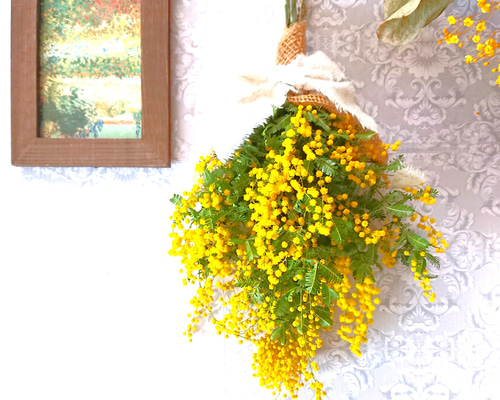 a9b0e53cc10f34d7412f1702672215