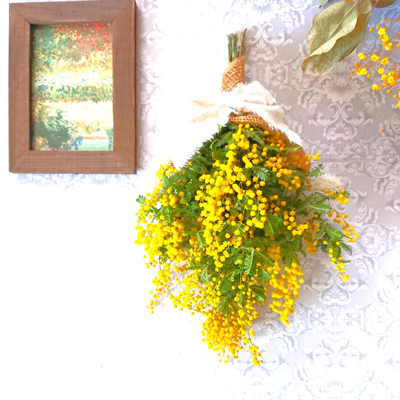 ナチュラルスワッグ　ラナンキュラス  ミモザ　かすみ草　母の日　母の日ギフト ナチュラルスワッグラナンキュラス ミモザかすみ草母の日母の日ギフト