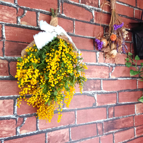 母の日ギフト＊2024ミモザの可愛いドライフラワースワッグ スワッグ