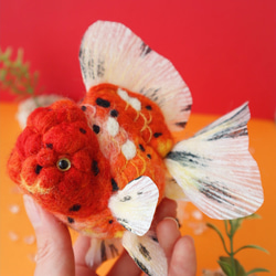 オレンジ東錦　金魚　羊毛フェルト　アクアリウム　夏　春 11枚目の画像