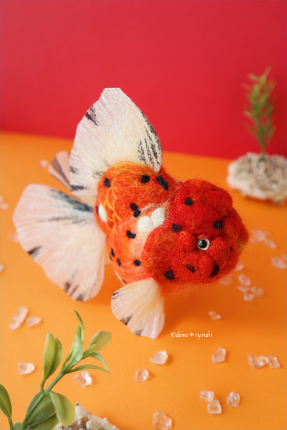 オレンジ東錦　金魚　羊毛フェルト　アクアリウム　夏　春 16枚目の画像
