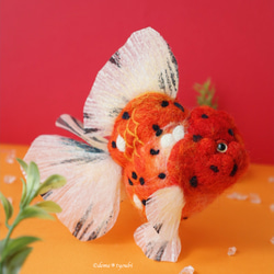 オレンジ東錦　金魚　羊毛フェルト　アクアリウム　夏　春 14枚目の画像