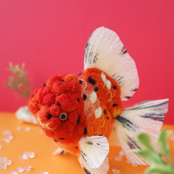 オレンジ東錦　金魚　羊毛フェルト　アクアリウム　夏　春 13枚目の画像