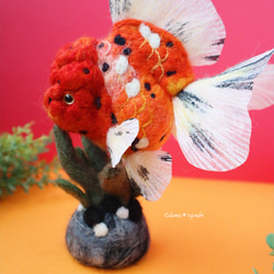 オレンジ東錦　金魚　羊毛フェルト　アクアリウム　夏　春 8枚目の画像