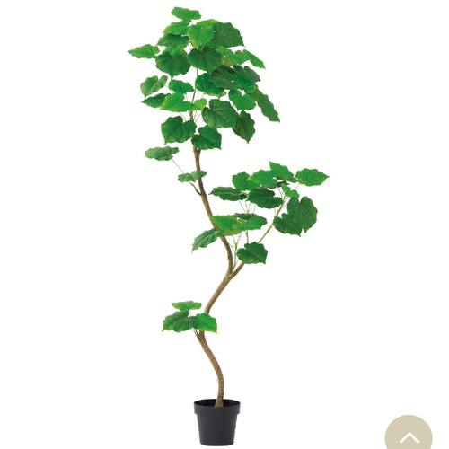 光触媒　人工観葉植物　ウォールグリーン　フェイクグリーン　ウンベラータ18080 光触媒 人工観葉植物 ウォールグリーン フェイクグリーン ウンベラータ