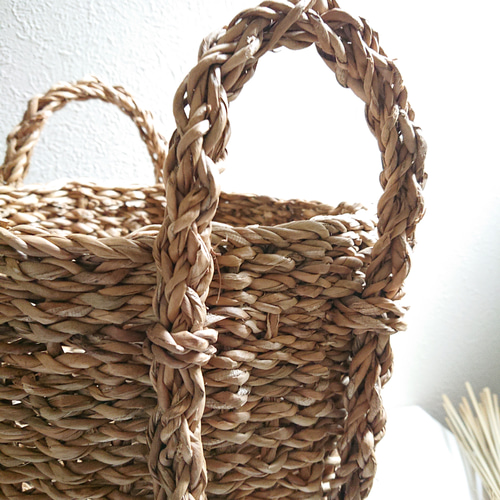 ○厳選樹形○ 菩提樹 ゴムの木 大きめ ”フィカス・ベンガレンシス（L