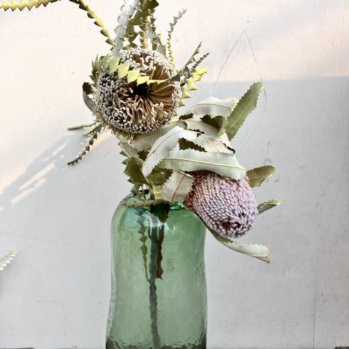 バンクシア♪スペシオーサ♪ドライフラワー♪ワイルドフラワー