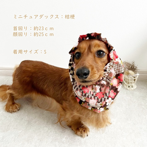 犬服♡くー md82251.jpg