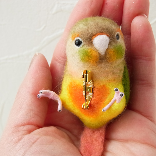 すてぱん様オーダーページ 猫 ウロコインコ すてぱん様オーダーページ 猫 ウロコインコ