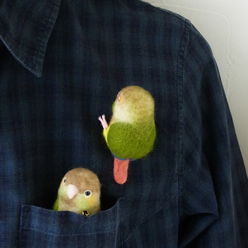 オーダーメイド よっこらインコブローチ（ウロコインコ）羊毛