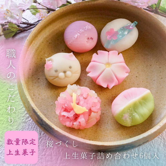 【送料無料】桜づくし上生菓子6個入り 誕生日 プレゼント 春 かわいい 贈答 ギフト 和菓子 練り切り 本格 手土産 1枚目の画像