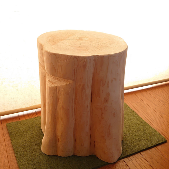 抜群の存在感 切株椅子・根本使用・丸太テーブル・オーガニック・超ラージサイズ 4枚目の画像