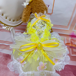 犬猫うさちゃん服　春の訪れレモンイエローの花咲くワンピース 11枚目の画像
