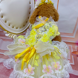 犬猫うさちゃん服　春の訪れレモンイエローの花咲くワンピース 12枚目の画像