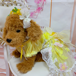 犬猫うさちゃん服　春の訪れレモンイエローの花咲くワンピース 3枚目の画像