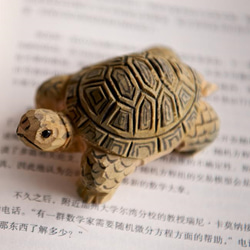 すごい！本物のカメ匹みたい！ 木彫りのカメ匹 置物 ギフト プレゼント