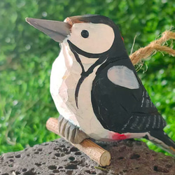 b371c97df494bb3972ca7143c2d7ba