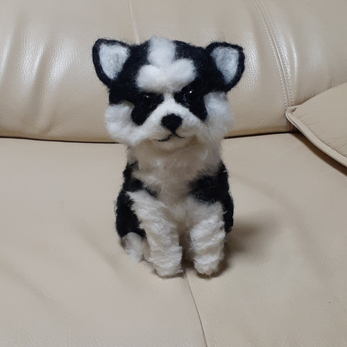 羊毛フェルト　シベリアンハスキー 羊毛フェルト シベリアンハスキーさん 羊毛フェルト 羊毛わんこ