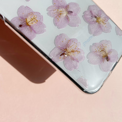 【スマホリング有無】桜 押し花スマホケース･.｡*･.｡ 2枚目の画像