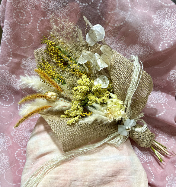 468»◤完売致しました◢アカシアミモザ*ハイブリッドスターチスリース 