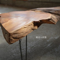 分厚い欅の一枚板　ローテーブル　リビングテーブル（高さ・カラー変更無料） 7枚目の画像