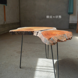 欅の端材の一枚板　コーヒーテーブル（高さ・カラー変更無料） 7枚目の画像