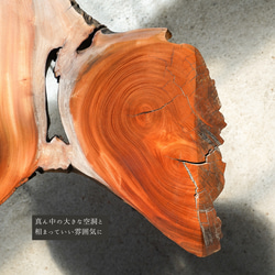欅の端材の一枚板　コーヒーテーブル（高さ・カラー変更無料） 15枚目の画像