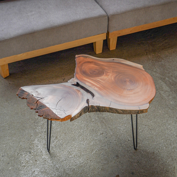 欅の端材の一枚板　コーヒーテーブル（高さ・カラー変更無料） 1枚目の画像