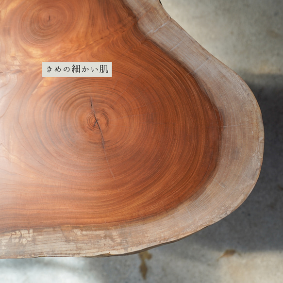 大きな節が二つある欅の輪切り一枚板　コーヒーテーブル（高さ・カラー変更無料） 17枚目の画像