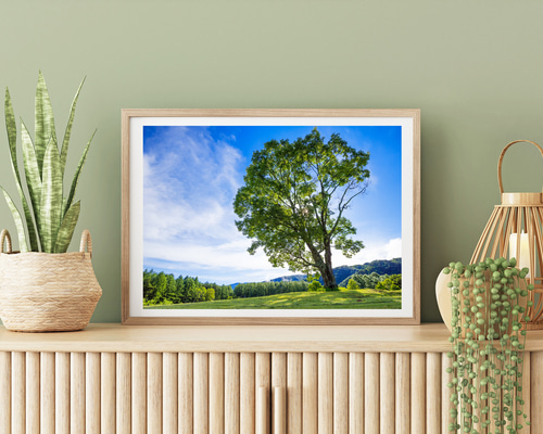 開田高原 コナラの一本木 インテリアアートポスター IVYL-050 信州