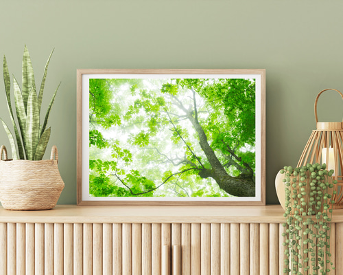 c9bdd41c7d53195f7c2c0165e3b390