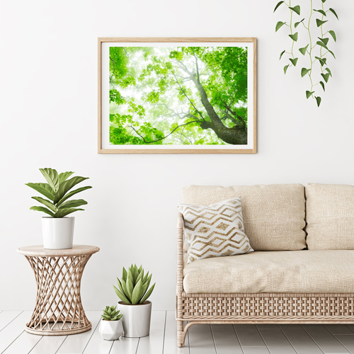 霧に煙るブナの森 インテリアアートポスター IVYL-052 森林 青森 風景