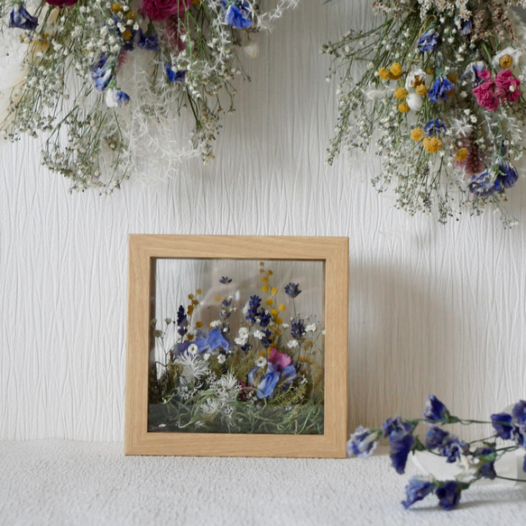 私の庭〇窓から覗くお花畑〇青の花〇フレームフラワードライフラワー 9枚目の画像