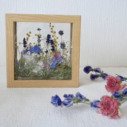 私の庭〇窓から覗くお花畑〇青の花〇フレームフラワードライフラワー 3枚目の画像