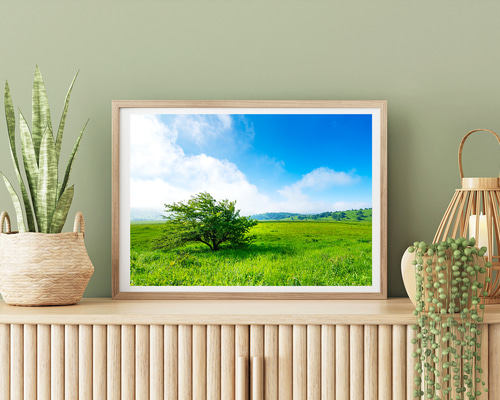 天然葦簀　インテリア壁置お飾り山型ヨシ　１枚限定 天然葦簀 インテリア壁置お飾り山型ヨシ 1枚限定