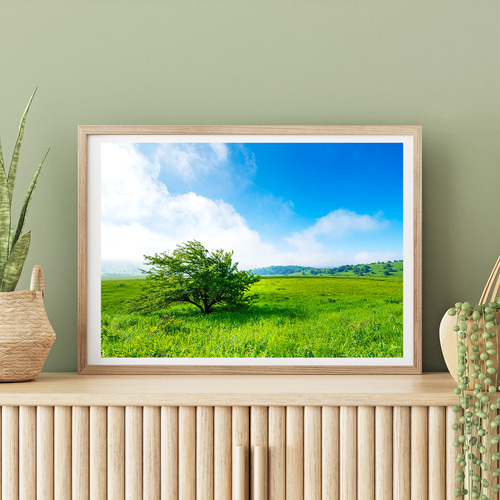 霧ヶ峰高原 八島湿原 インテリアアートポスター IVYL-054 信州 長野