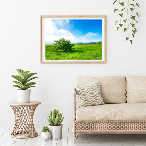 霧ヶ峰高原 八島湿原 インテリアアートポスター IVYL-054 信州 長野