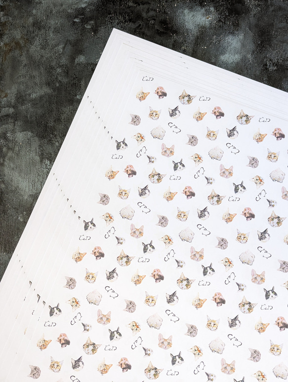 にゃんこフェイスのデザインペーパー(5枚) 包装紙・ラッピングペーパー