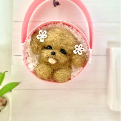 びっけ室内犬います。プロフ確認下さい。　　　羊毛フェルト　パピヨン　犬 送料無料】羊毛フェルト パピヨン♡犬 羊毛フェルト ♡ron