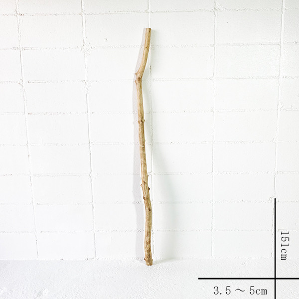 流木 棒流木 1m以上  素材   boe0575