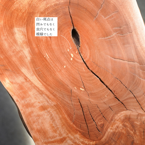 モッコクの輪切り 一枚板 コーヒーテーブル（高さ・カラー変更無料