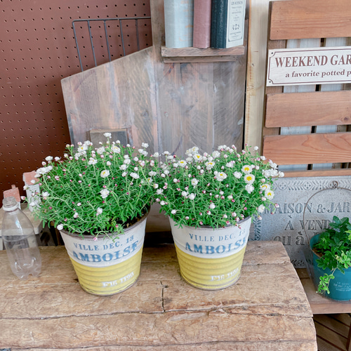 値下げ！春色♡【花かんざしガーデニング】可愛い小花の寄せ植え