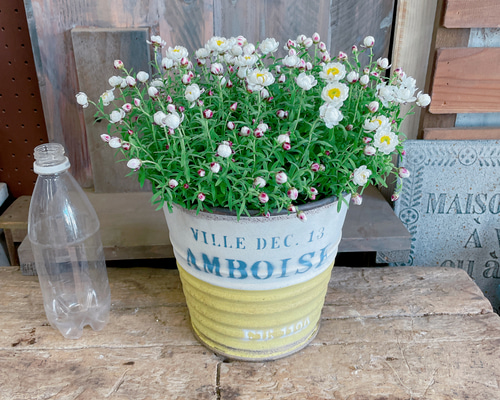 d2eb4e4e41c2cbb4df983d3d87d675