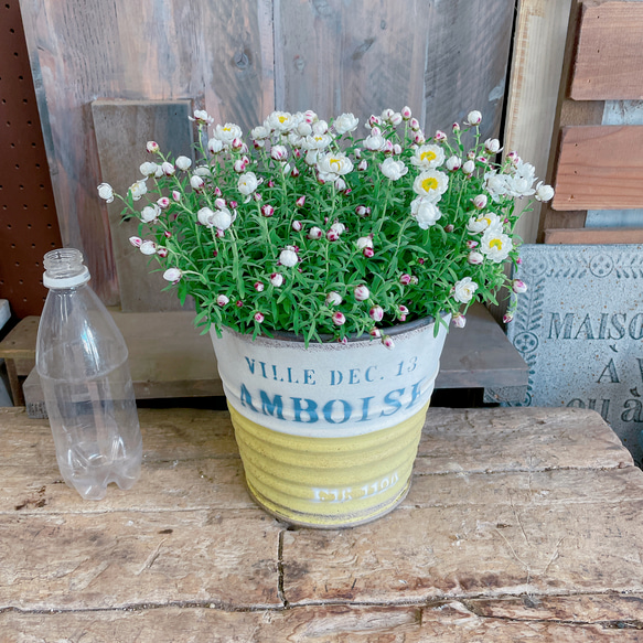 値下げ！春色♡【花かんざしガーデニング】可愛い小花の寄せ植え