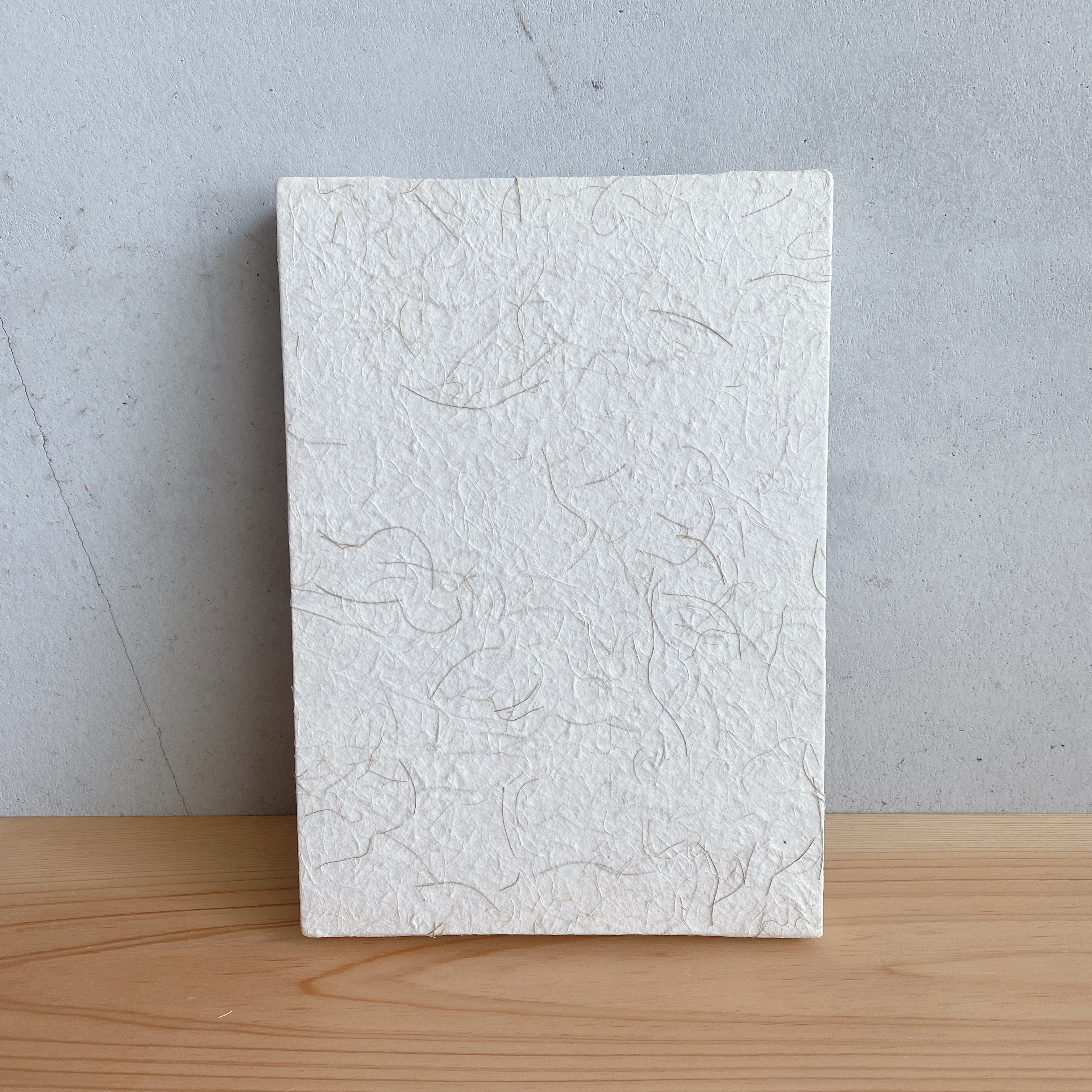 手漉き竹紙 パネル (竹雲龍紙) インテリア 壁掛け ファブリックパネル