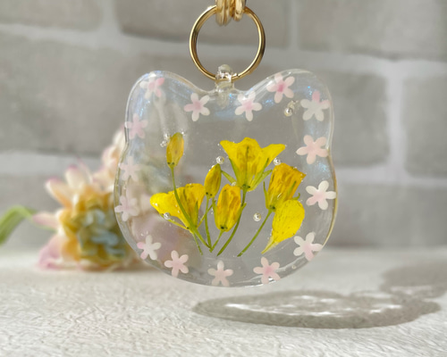 30f36e2b8f47a1f3116663bccf030a