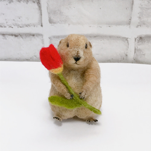 リアル羊毛フェルト 【プレーリードッグ】実物大サイズ