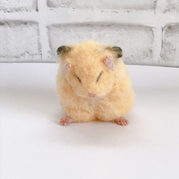 くしくし中のキンクマハムスター 羊毛フェルトマスコット 羊毛
