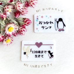 選べる❁贈るペンギンフラワー 自家製プリザーブドフラワーと短いメッセージ お花のカップケーキ 4枚目の画像